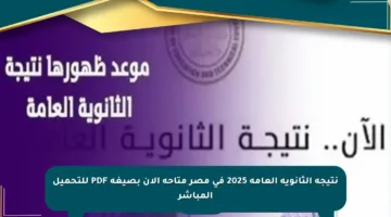نتيجة الثانوية العامة 2025 في مصر متاحة الآن بصيغة PDF للتحميل المباشر